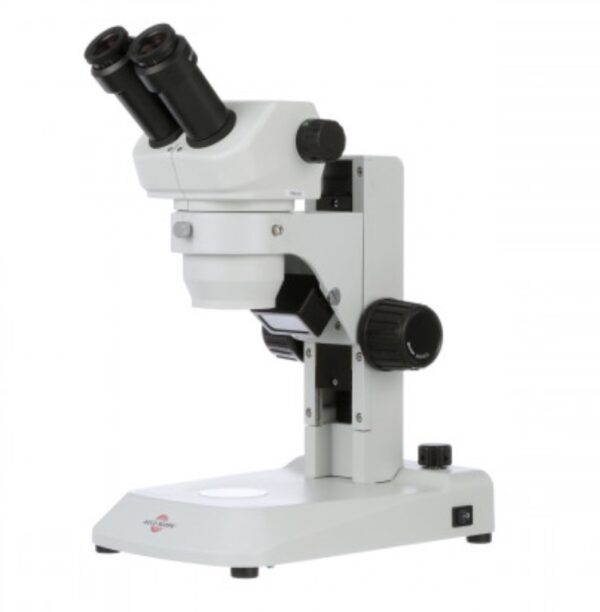 Stereo Microscopio Binocular/Trinocular con Zoom e iluminación LED