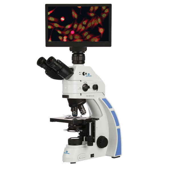 EXC-350 - Image 4