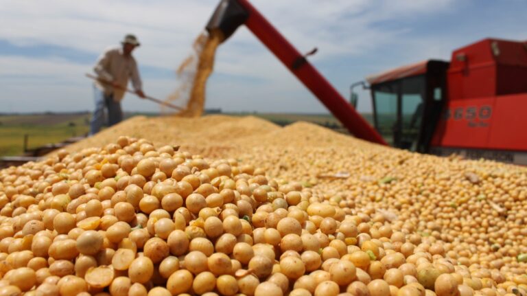 Determinación de Grasa con Precisión: Maximiza tu Análisis con el TE-045/8 de TECNAL