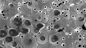 TESCAN MIRA: el poderoso microscopio electrónico de barrido (SEM) que transformará tus análisis de materiales