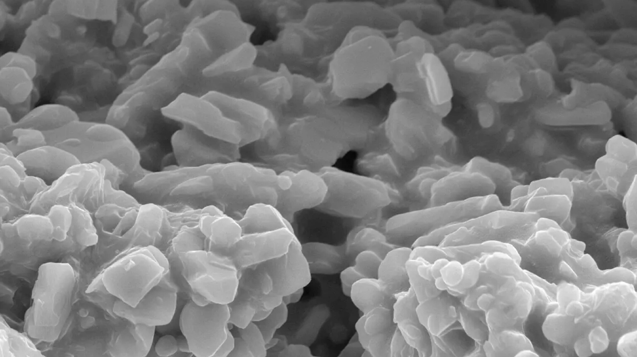 5 razones para elegir el microscopio electrónico de barrido compacto TESCAN VEGA Compact