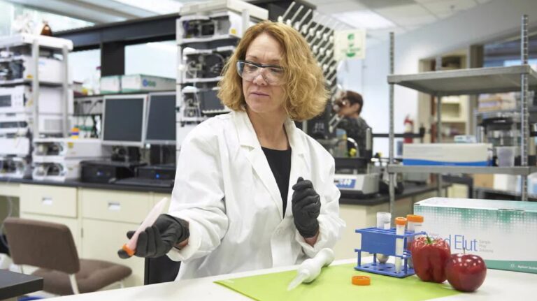 Preparación de muestras: el primer paso hacia resultados analíticos confiables