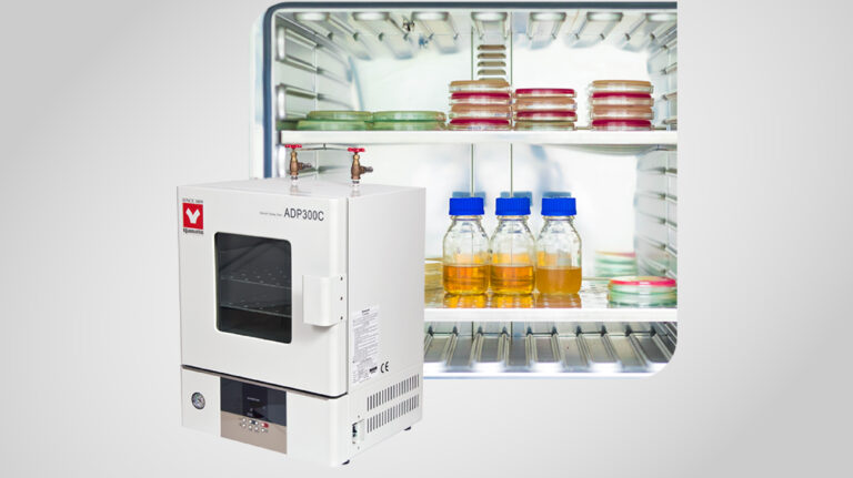 Estufas de secado: por qué esta etapa define la calidad de tus resultados
