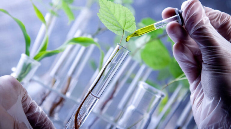 Análisis elemental con CNS928 de LECO: tecnología estratégica para suelos y foliares en agricultura moderna